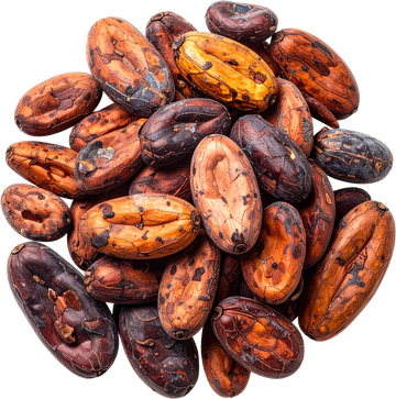 Natural Cocoa