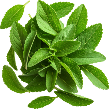 Stevia Extract