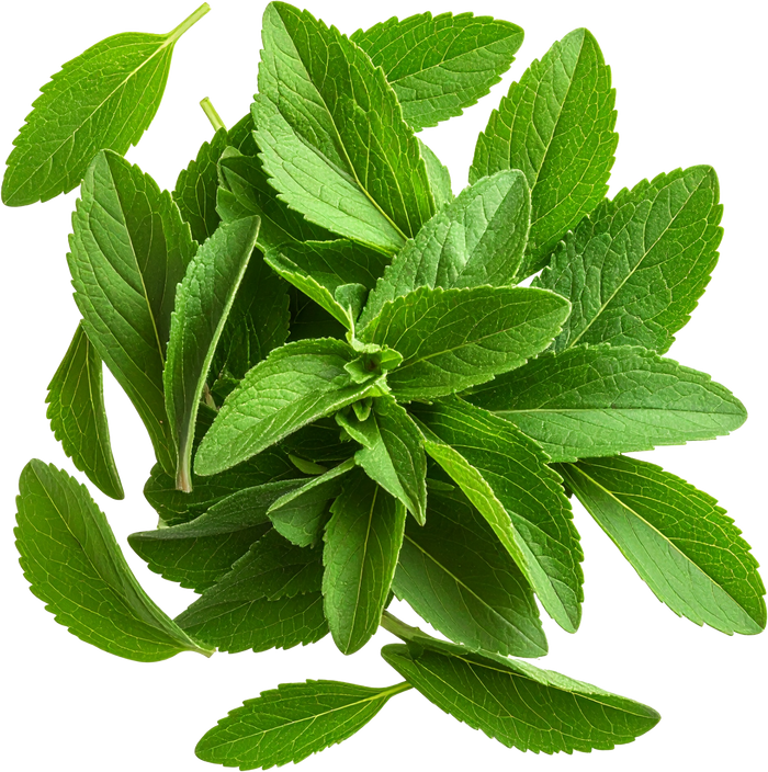 Stevia Extract