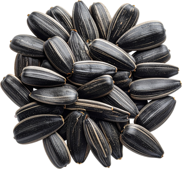 Sunflower Lecithin