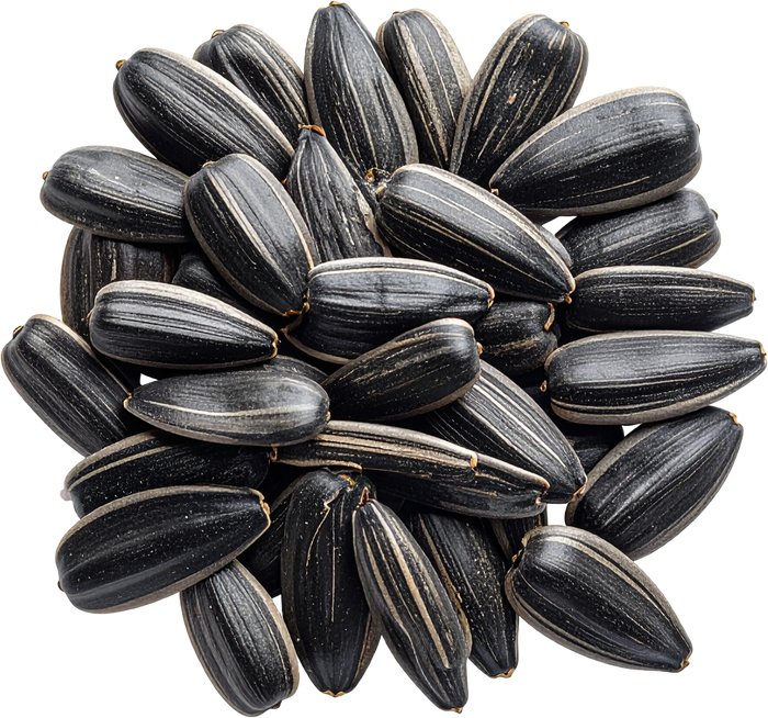 Sunflower Lecithin